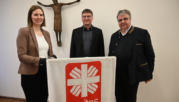 Vertreterversammlung